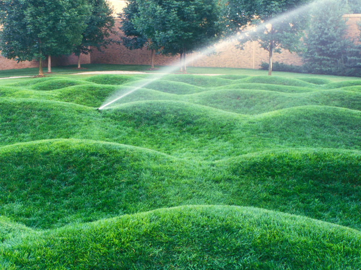 Wave Field in Ann Arbor, Michigan