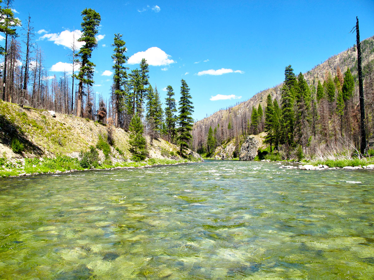 River of No Return Wilderness in Idaho