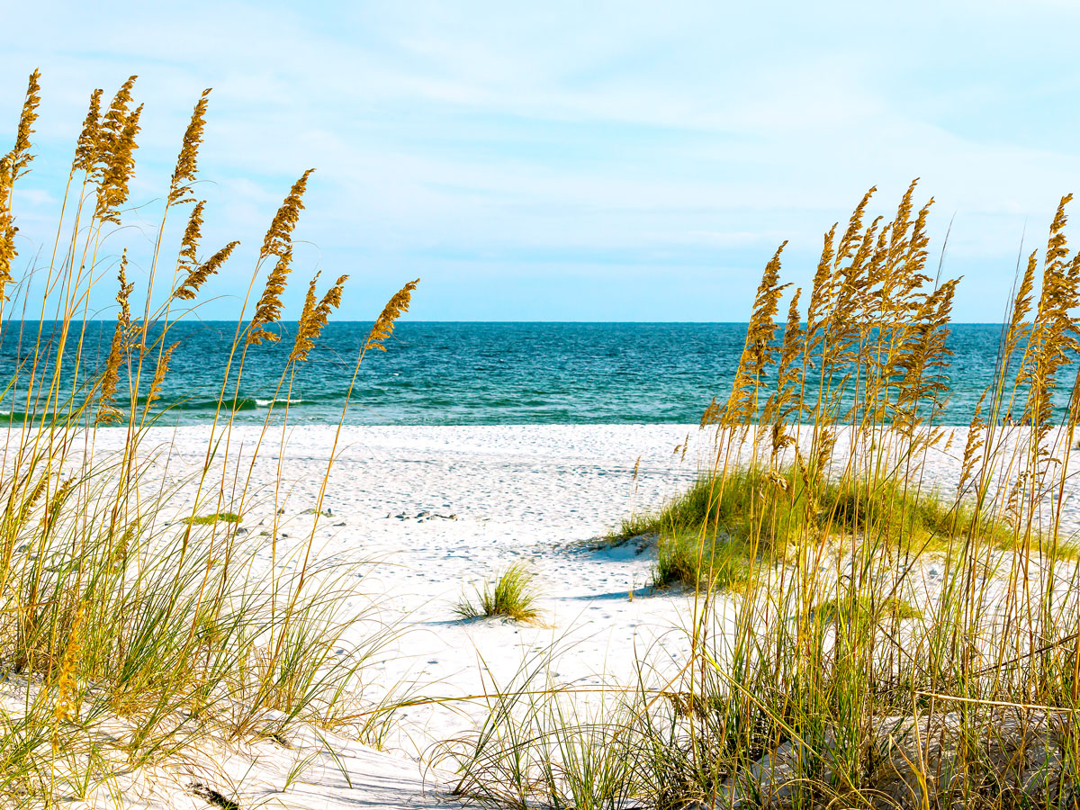 Gulf Coast of Alabama
