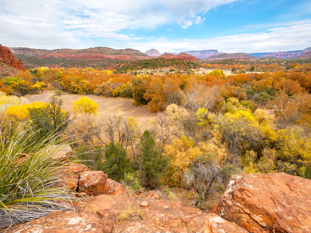 Autumn colors amid red-rock landscape of Sedona, Arizona
