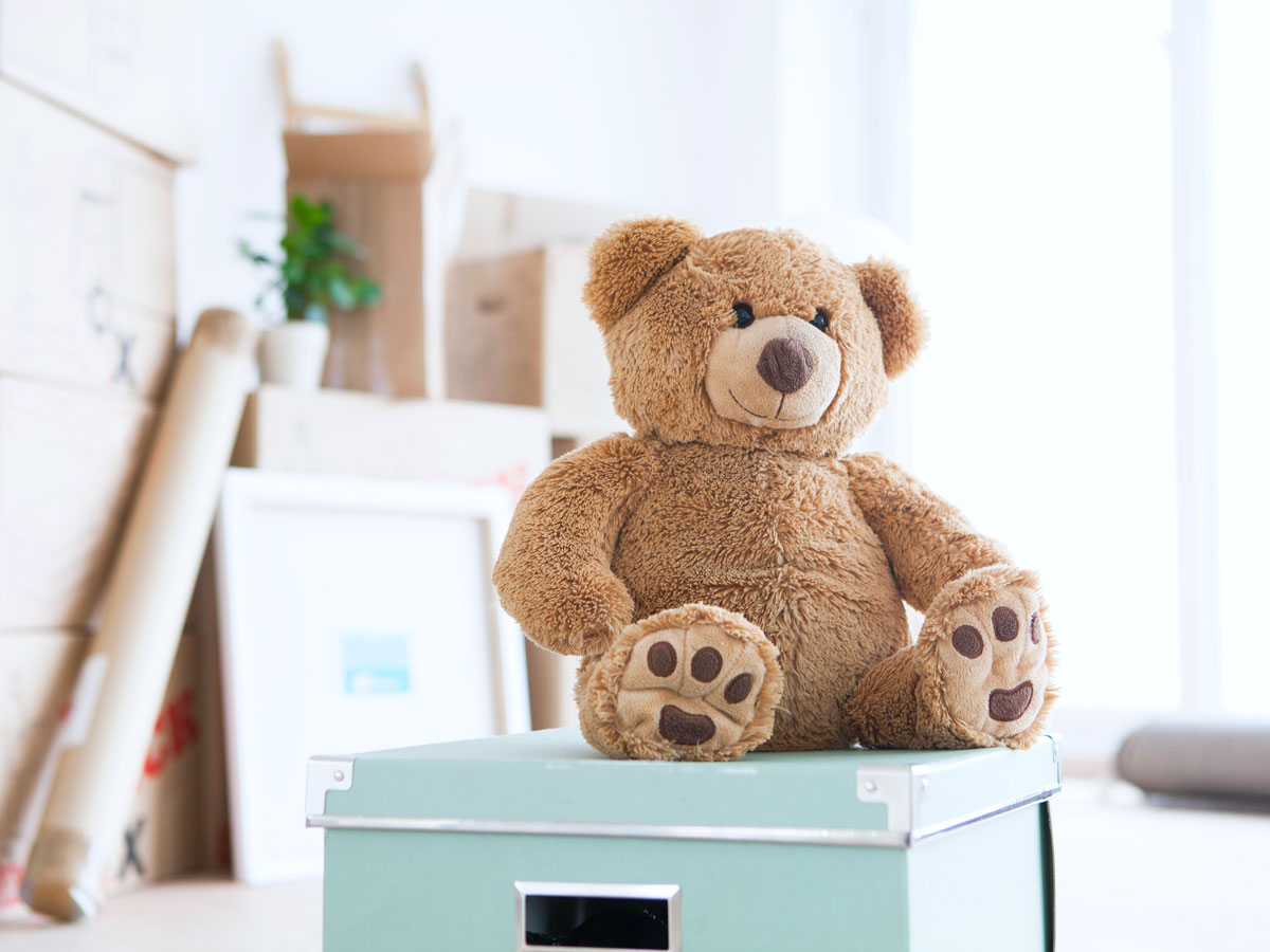 Teddy bear sitting on box