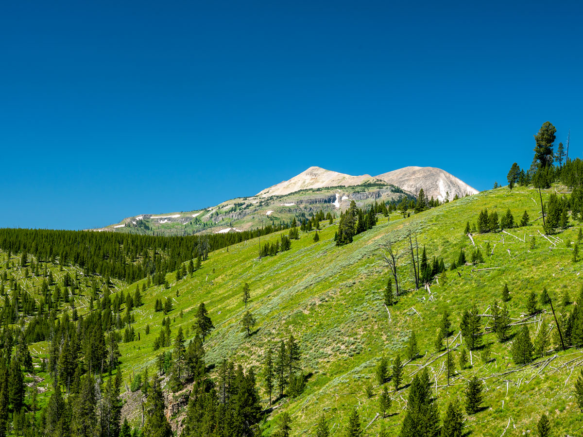 Mountainous landscape of Yellowstone National Park