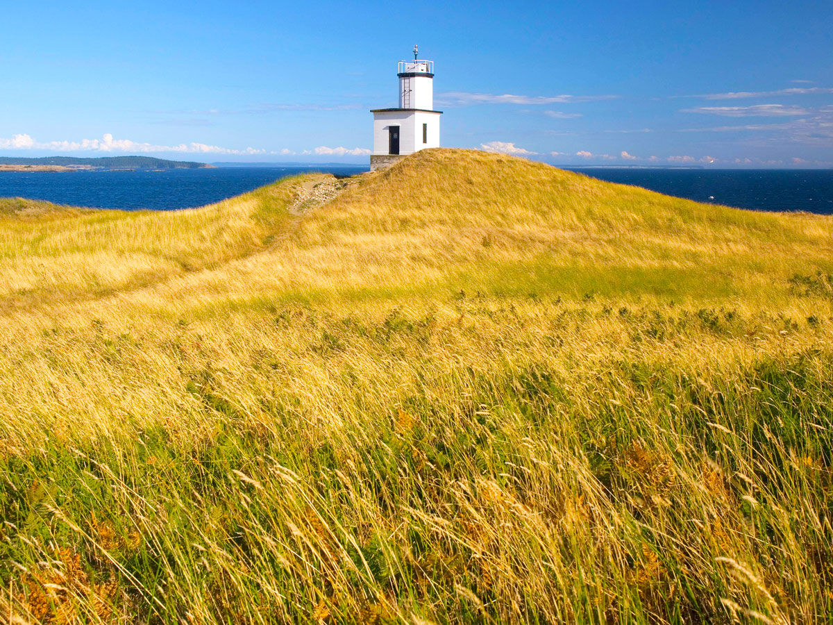 Lighthouse amid tall grass overlooking the San Juan Islands