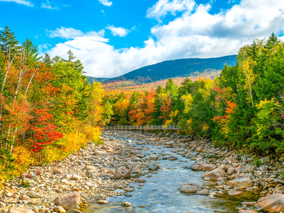 Fall foliage alongside river in Lincoln, New Hampshire