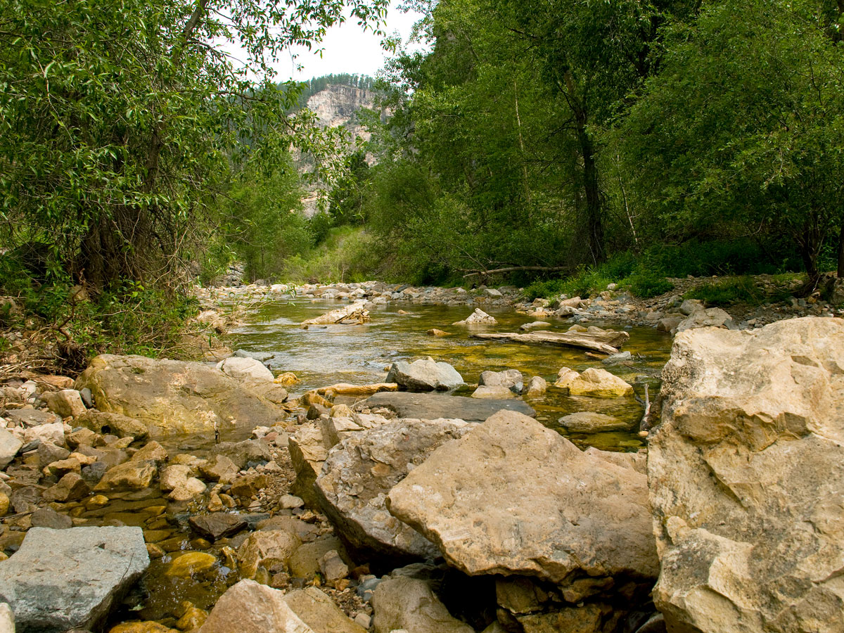 River in Spearfish Canyon, South Dakota