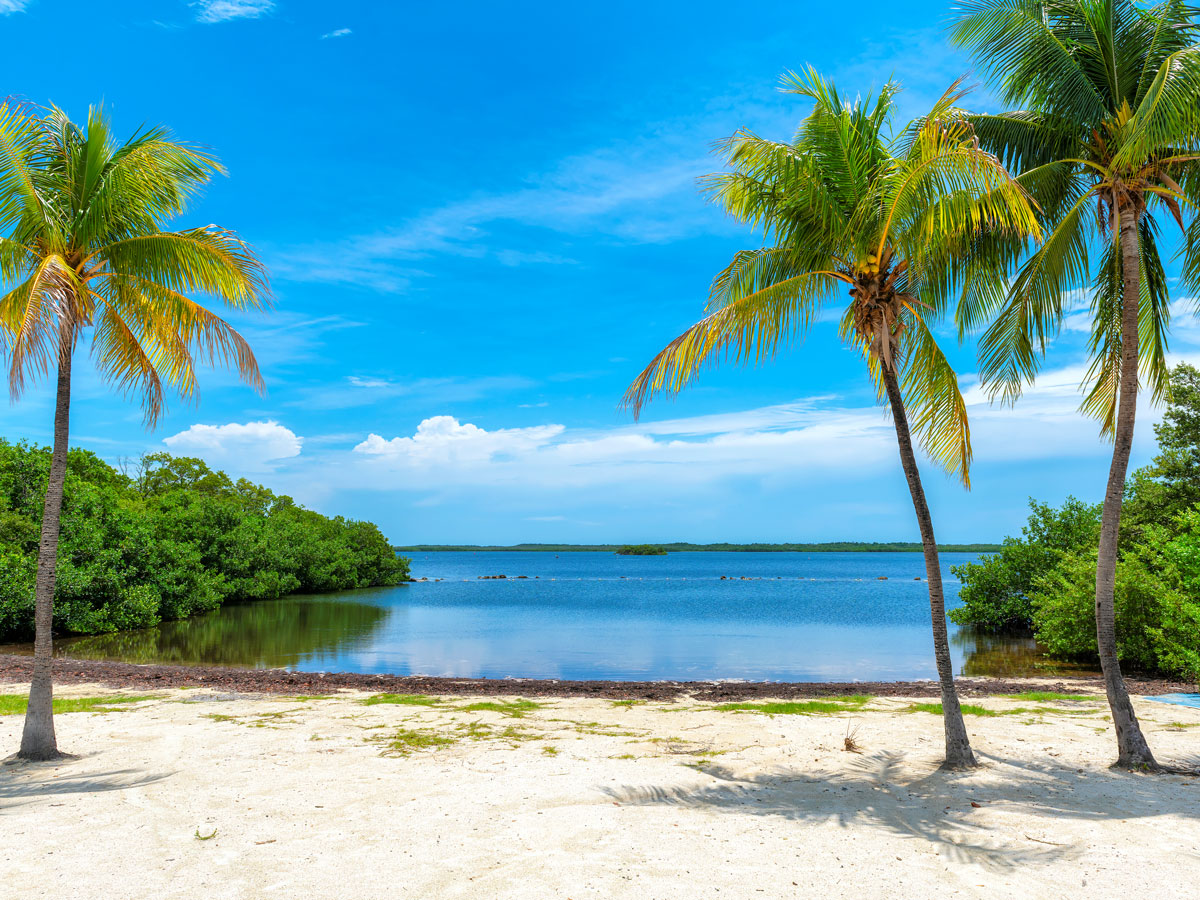 Palm trees on white-sand beach in Key West, Florida