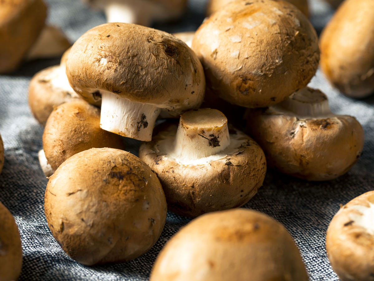 Close-up view of white button mushrooms