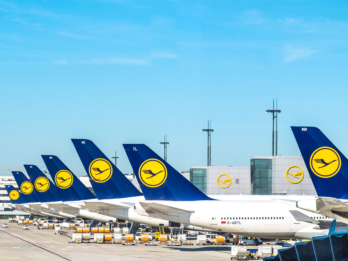 Lufthansa tails at Frankfurt International Airport in Germany