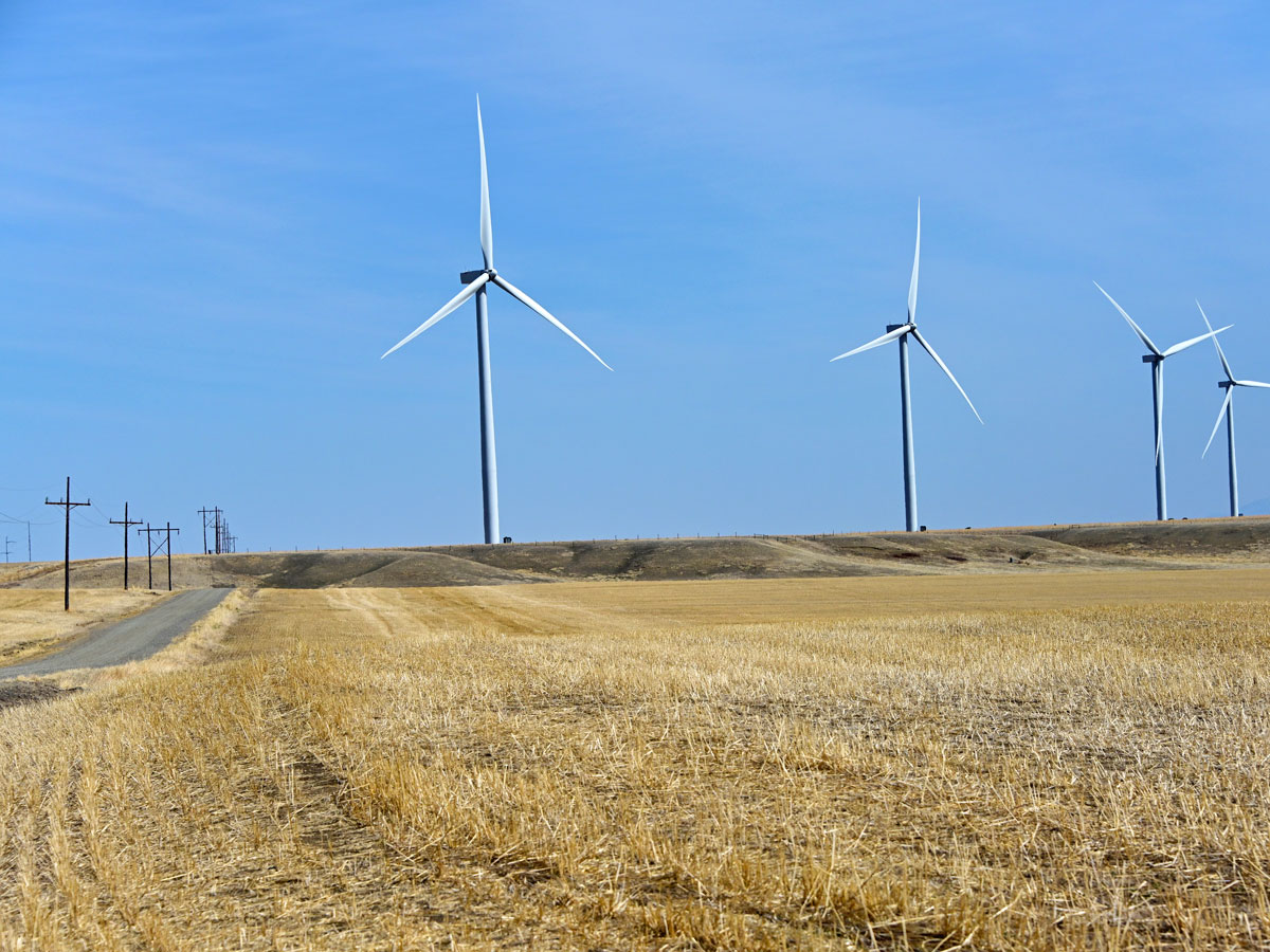 Wind turbines outside of Fairfield, Montana