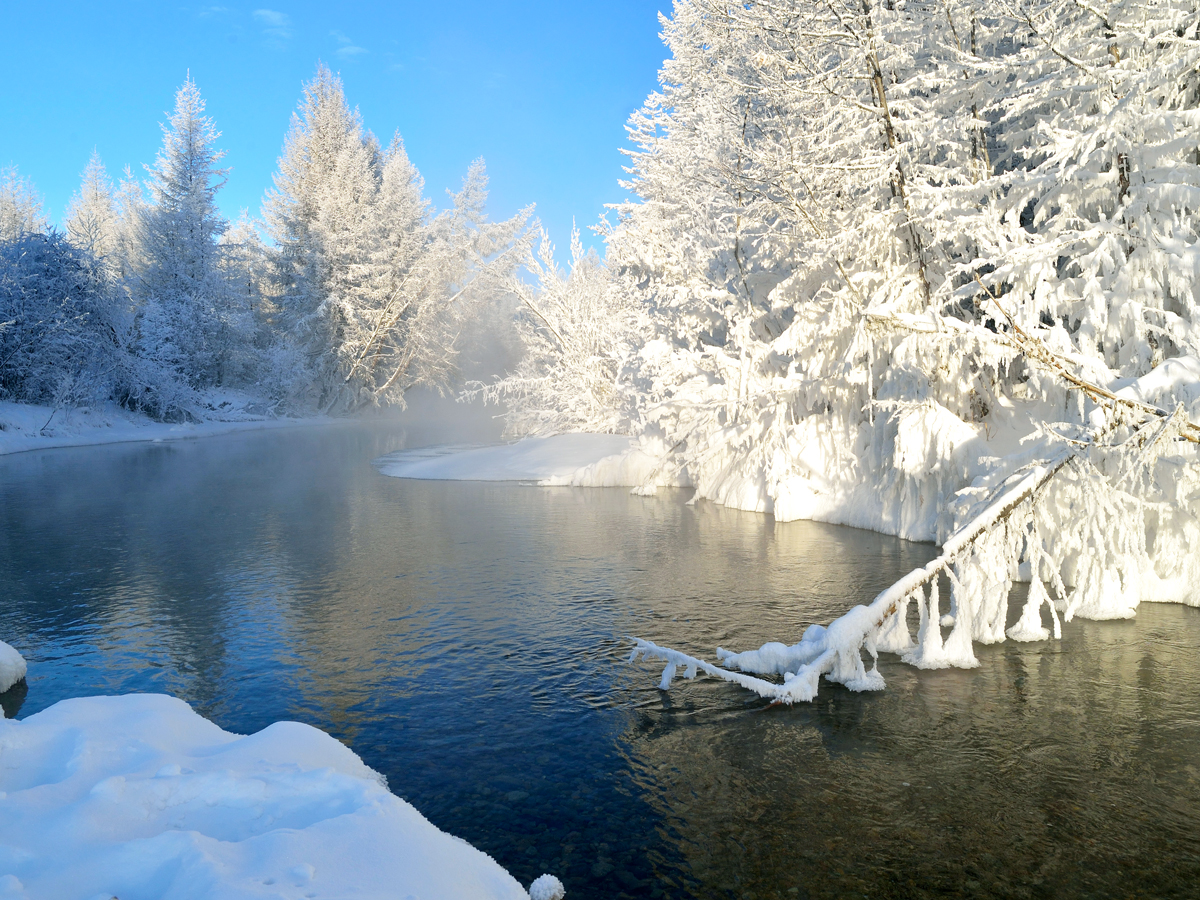 Snow-covered trees alongside river in  Oymyakon, Russia