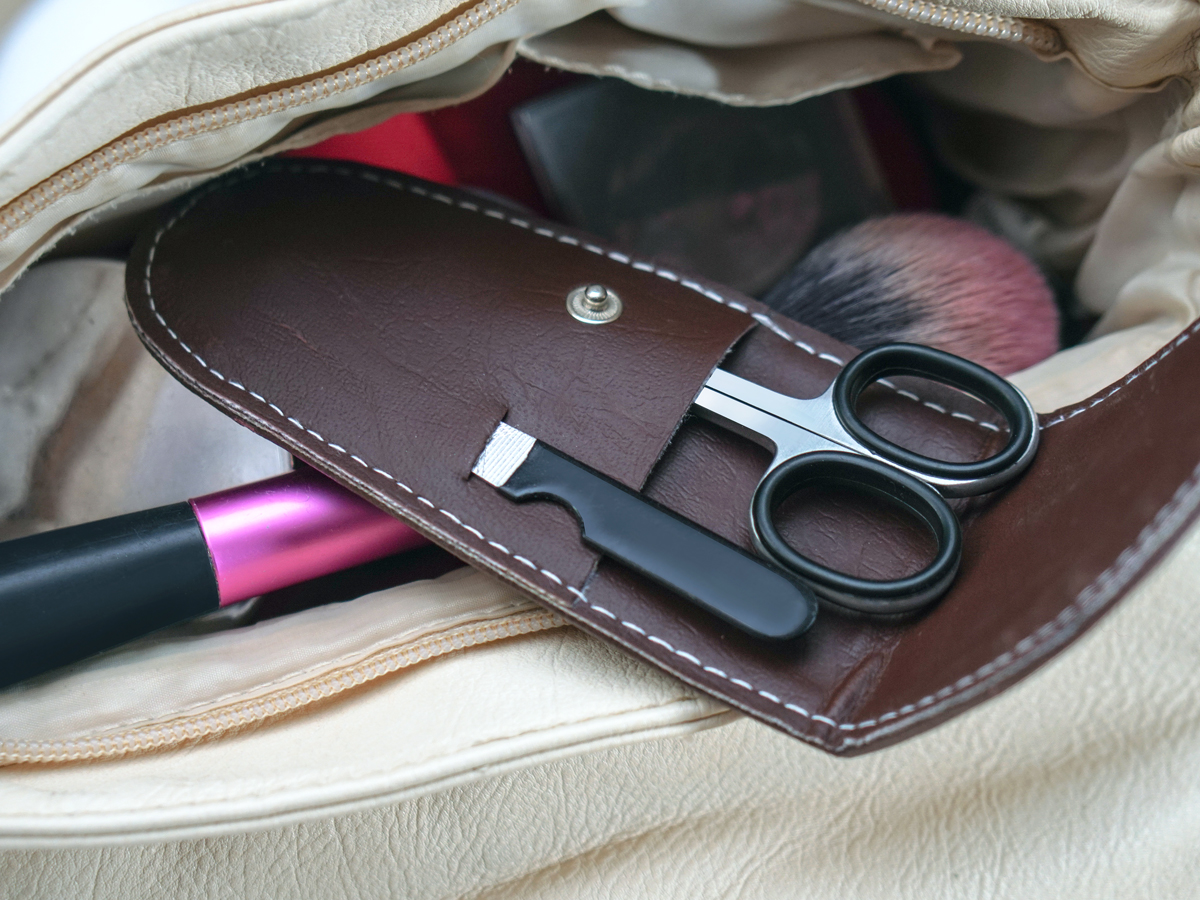 Scissors in carrying case