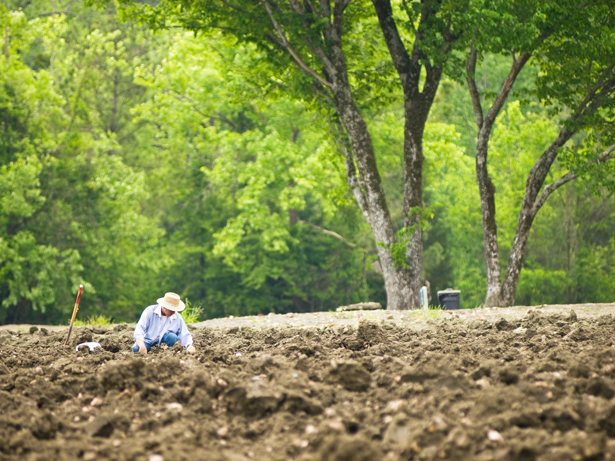 Person searching for diamonds at Crater of Diamonds State Park