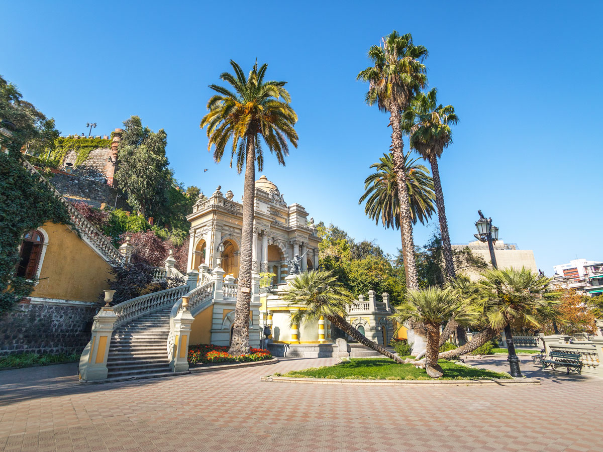Palm trees in park in Santiago, Chile