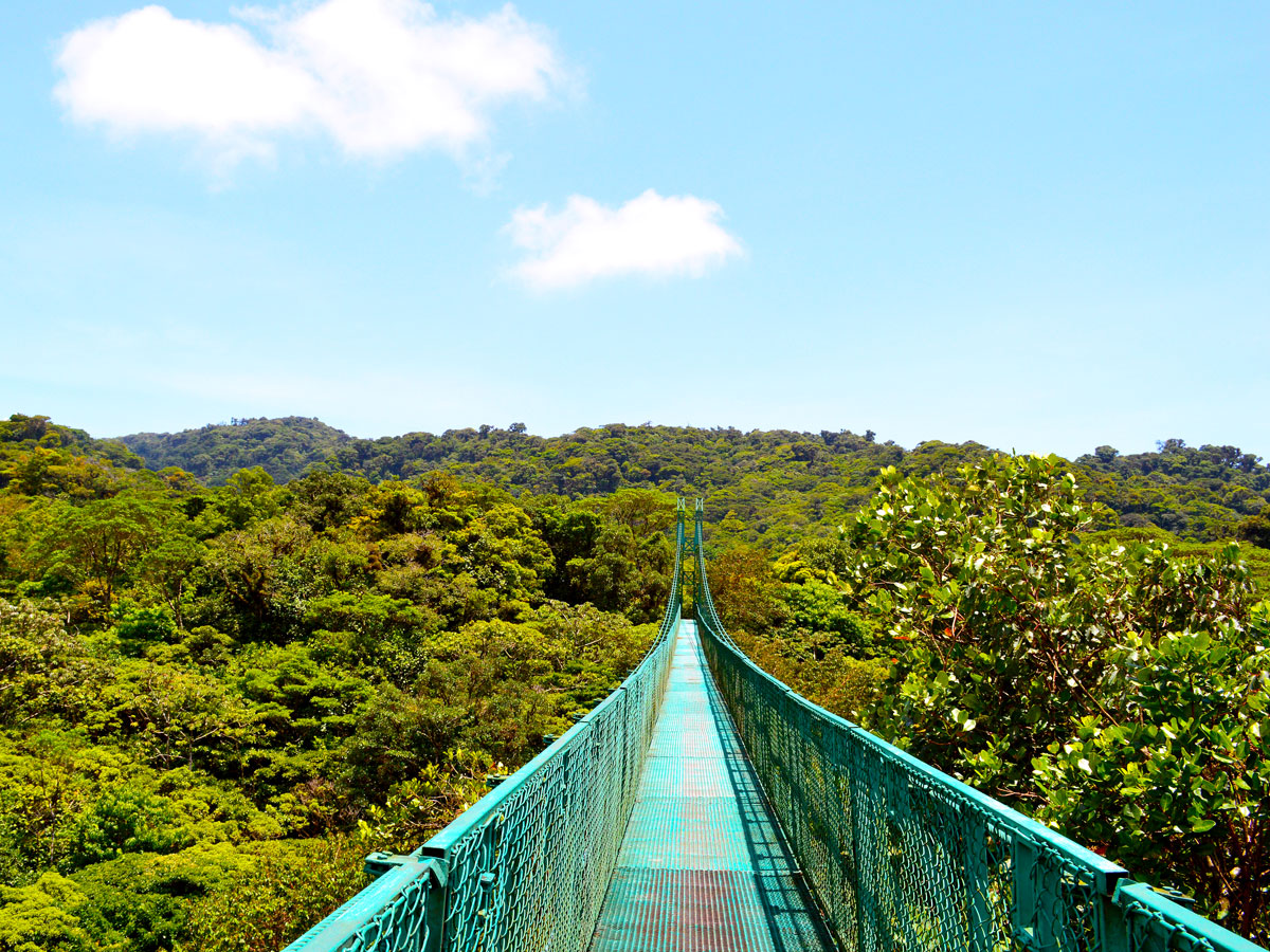 Canopy bridge over Monteverde Cloud Forest in Costa Rica