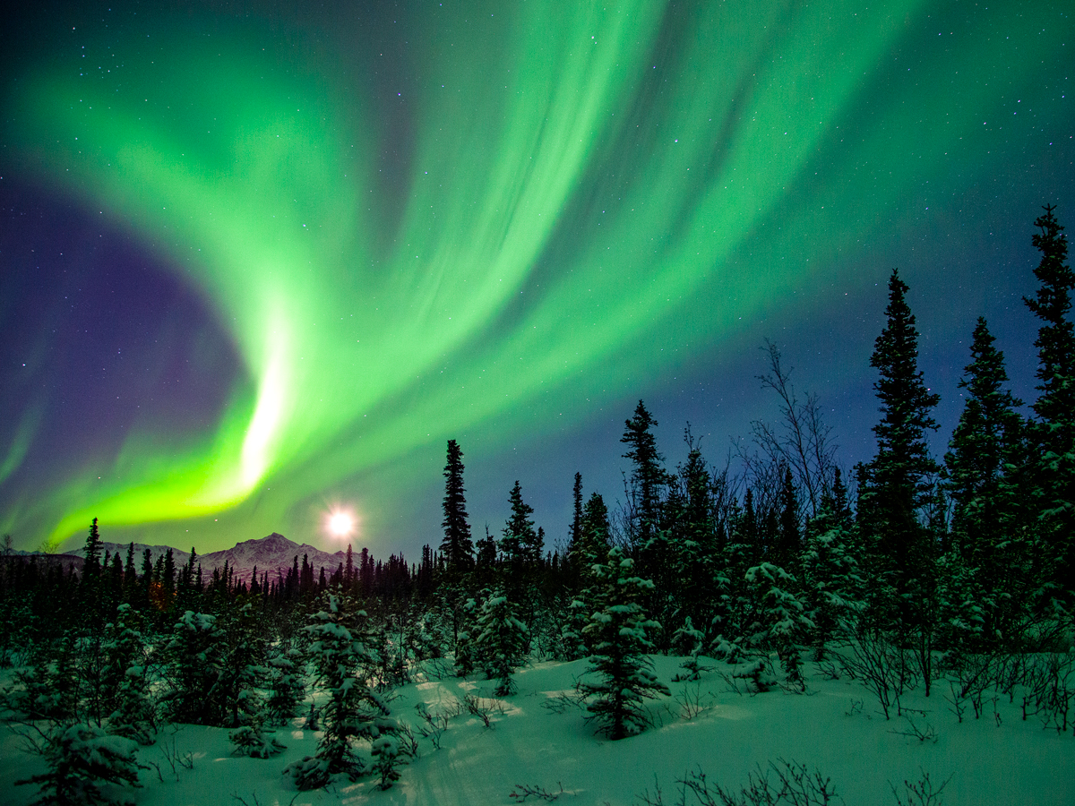Northern lights over snowy landscape of Denali National Park and Preserve in Alaska