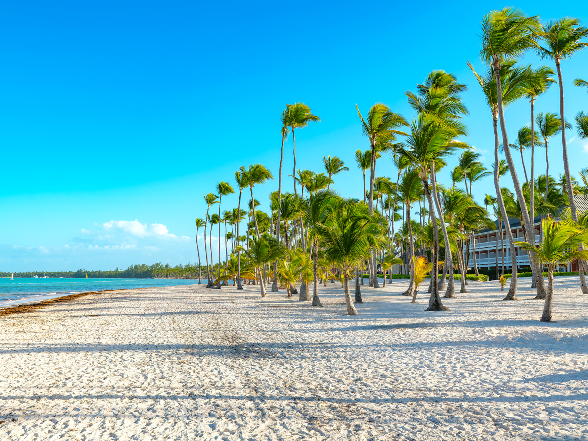 Palm trees on sandy beach in the Dominican Republic
