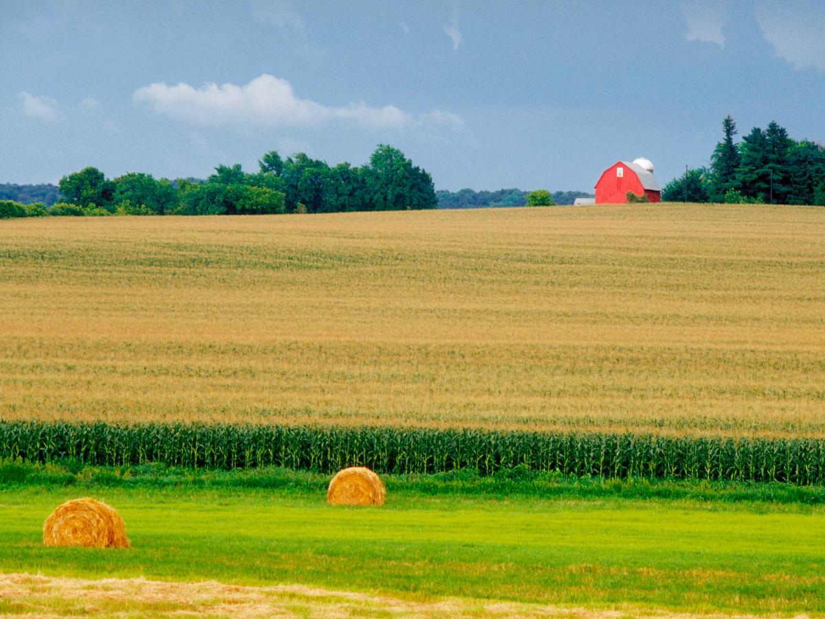 Bales of hay on vast corn field in Illinois