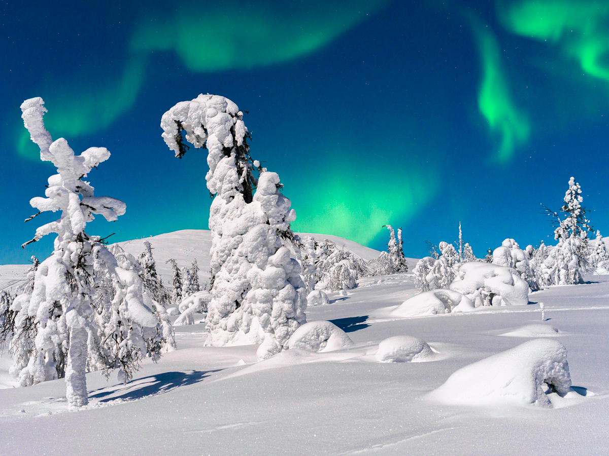 Northern lights above snowy landscape