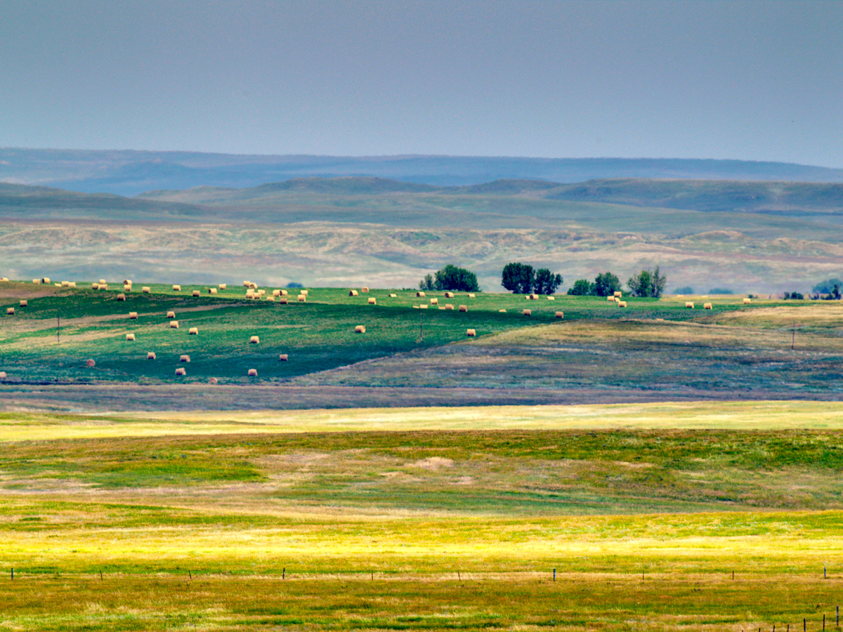 Rolls of hay in rolling farm fields of South Dakota