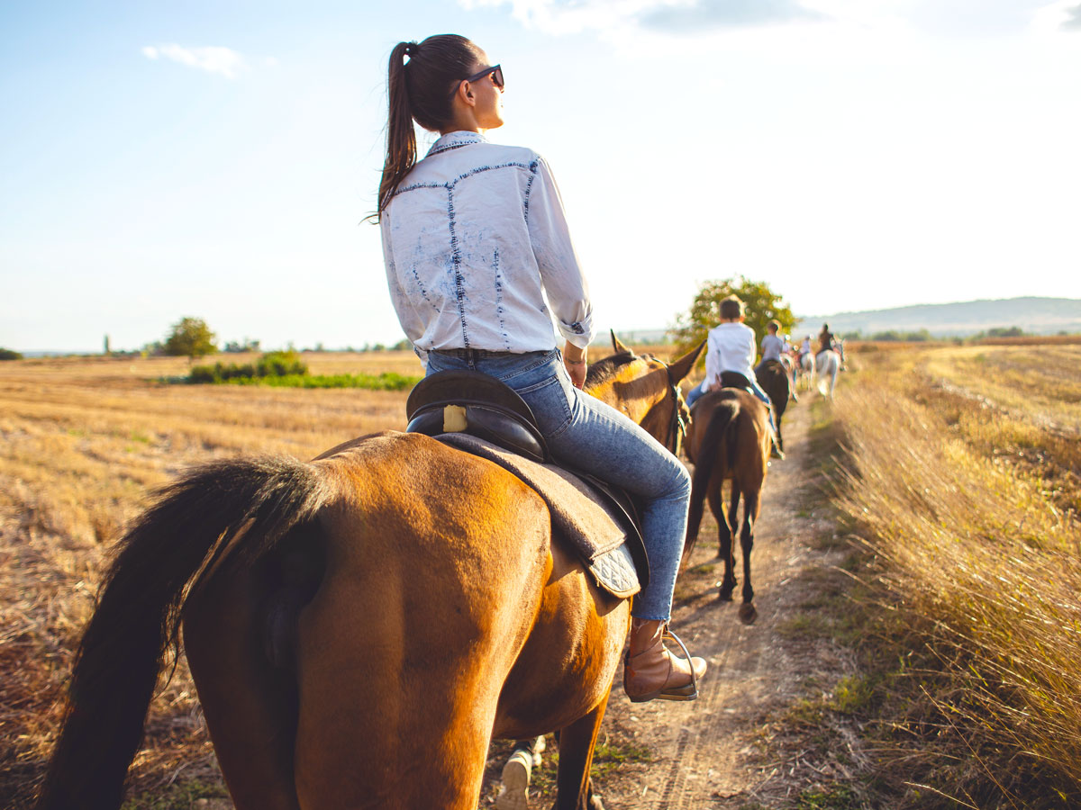 Horseback riding excursion