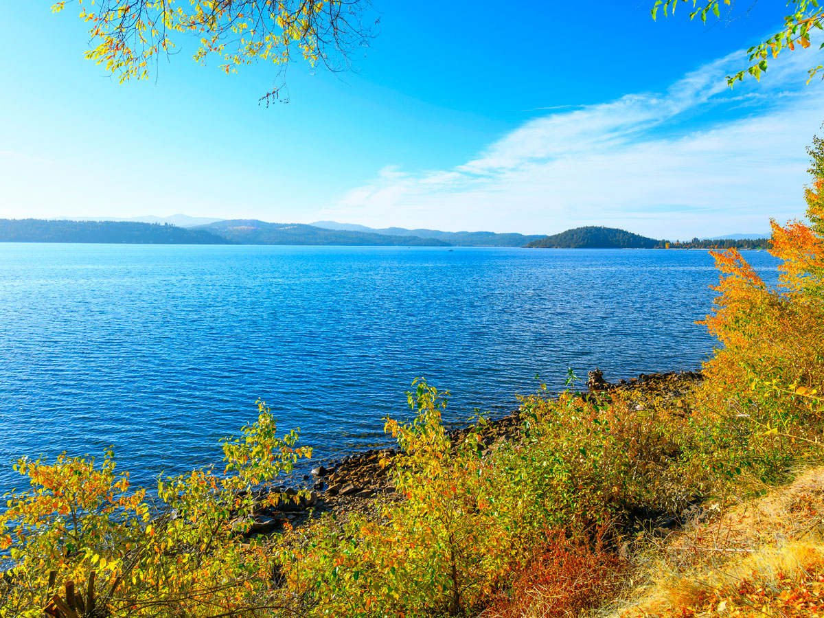 Trees and plants along Sanders Beach on Lake Coeur d'Alene in Idaho