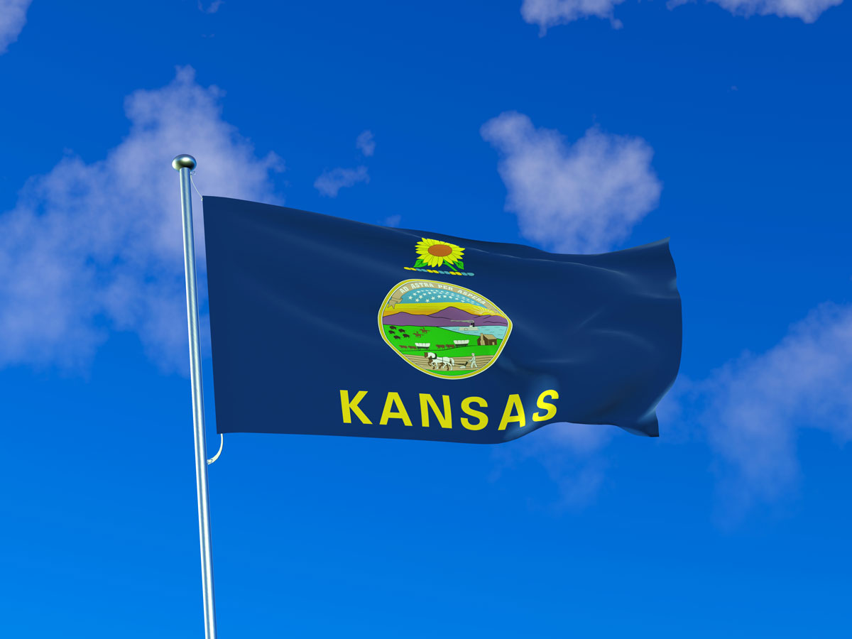 Kansas flag