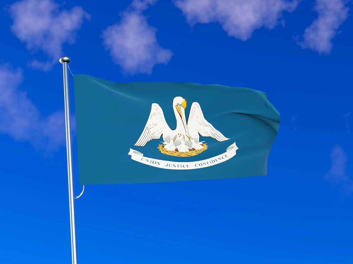 Louisiana flag