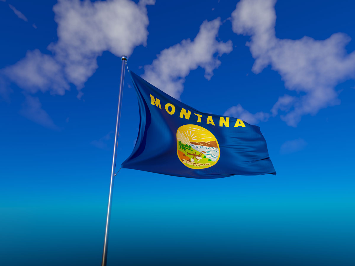 Montana flag