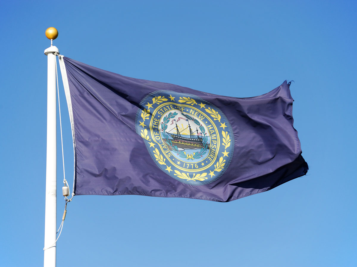 New Hampshire flag