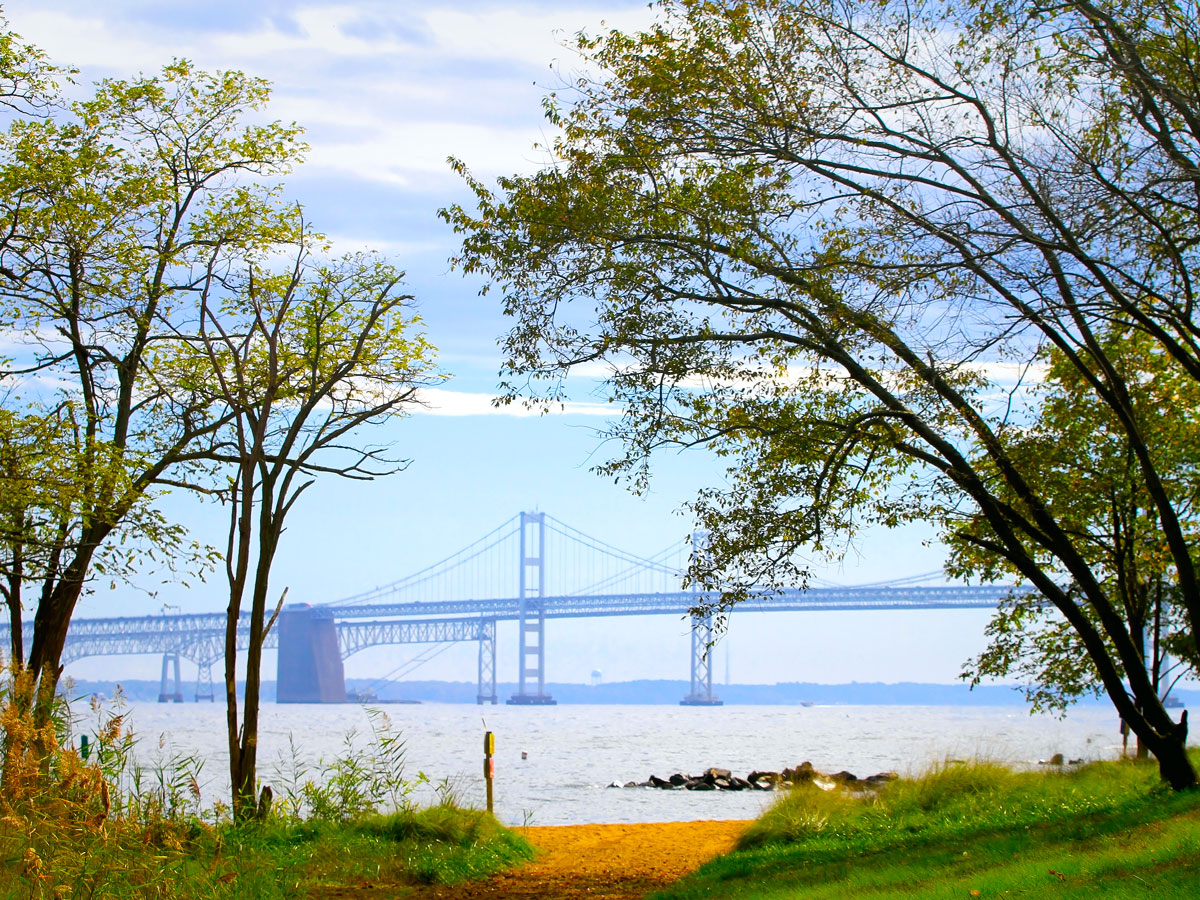 View of Chesapeake Bay Bridge in the distance
