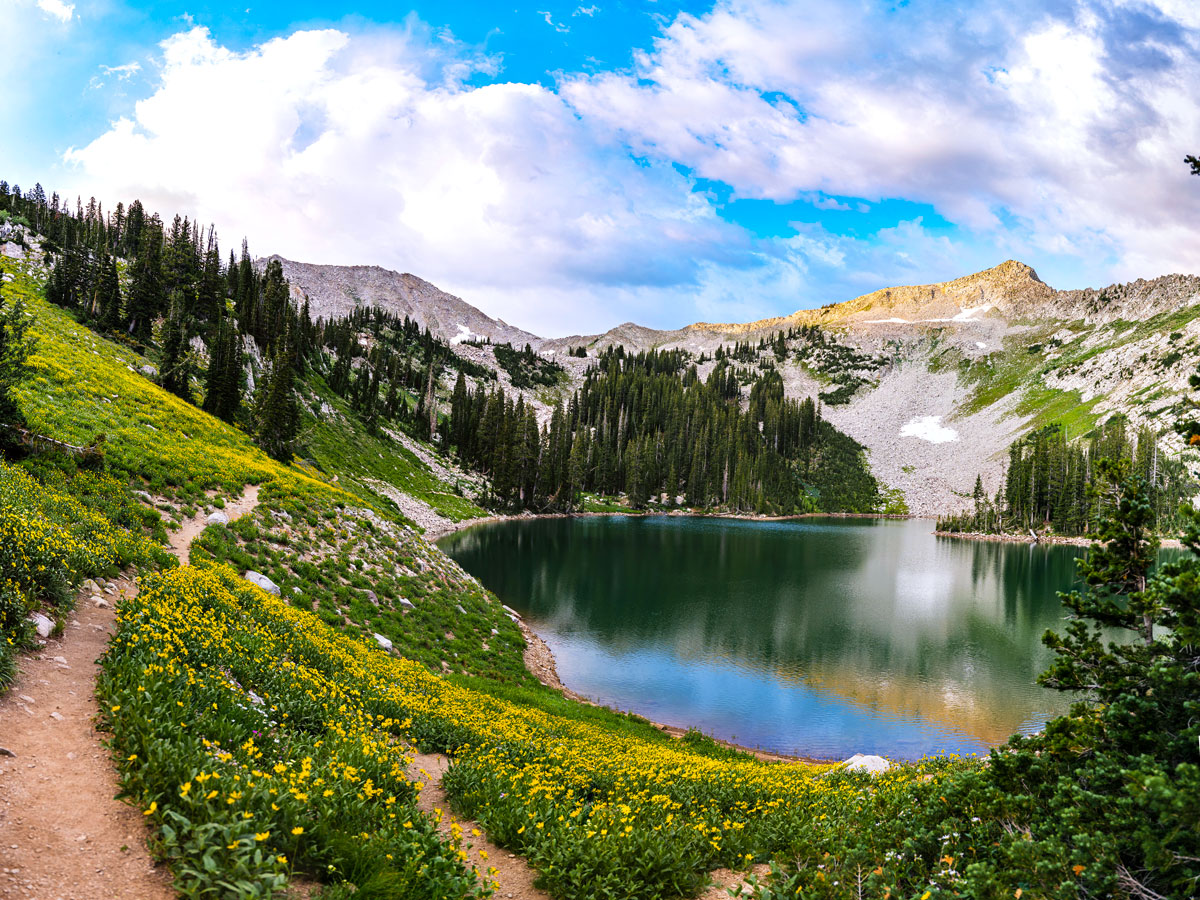 Sunrise and wildflowers at Red Pine Lake in Utah