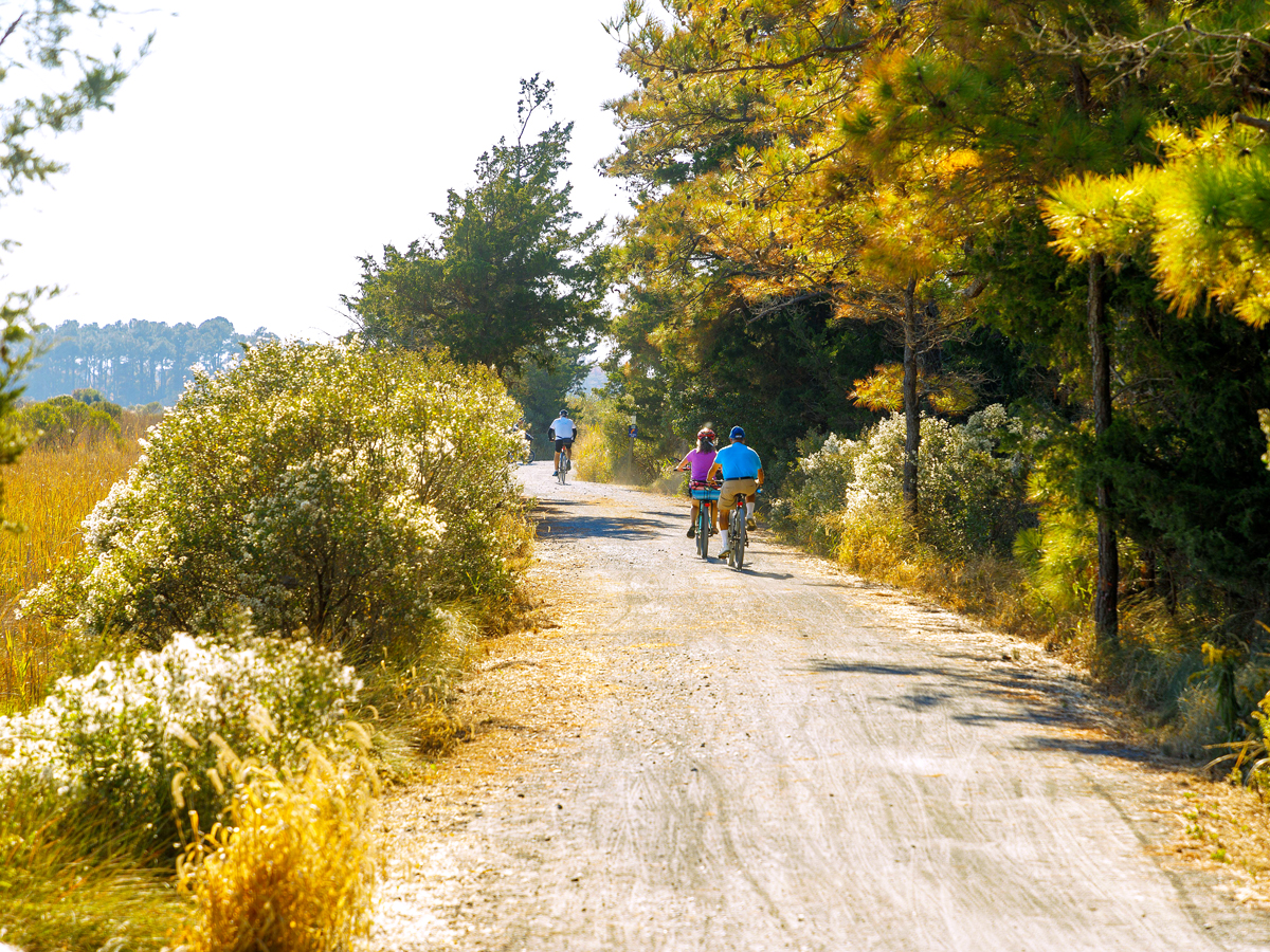 Cyclists on the American Discovery Trail