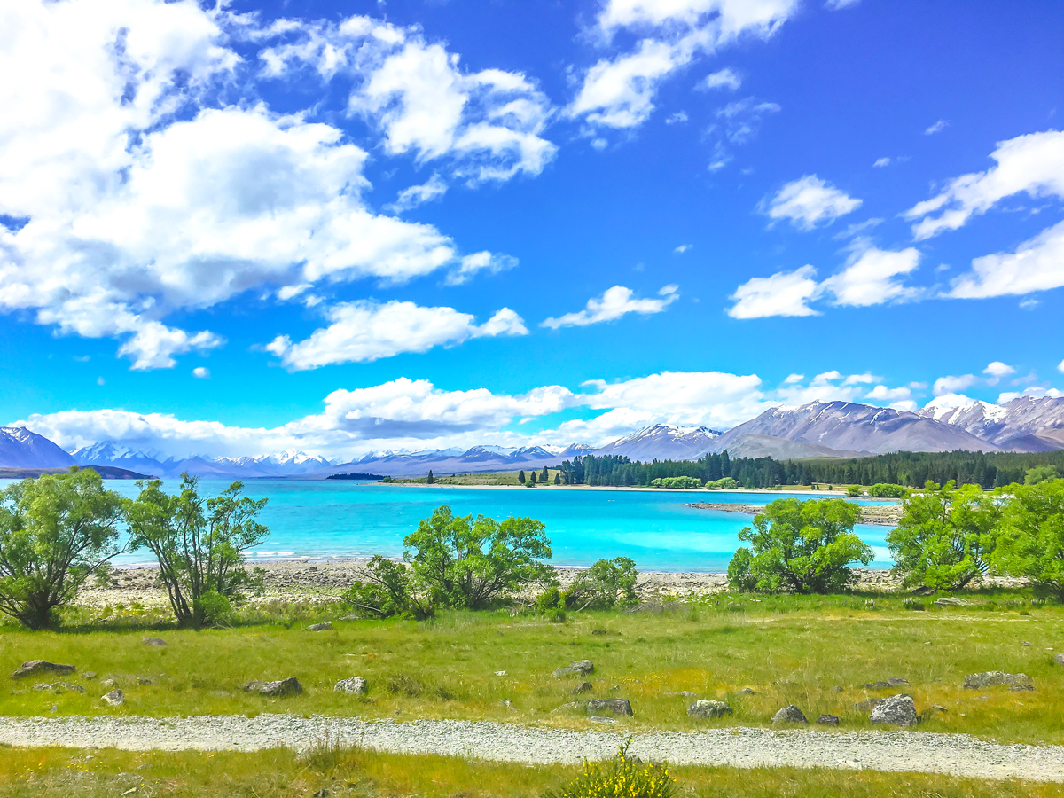 Shores of Lake Tekapo, New Zealand