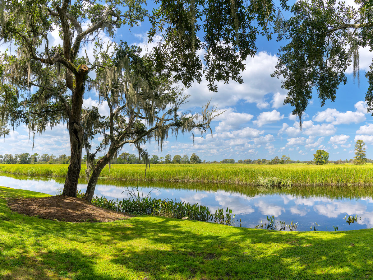 Tidal marshlands in the South Carolina low country 