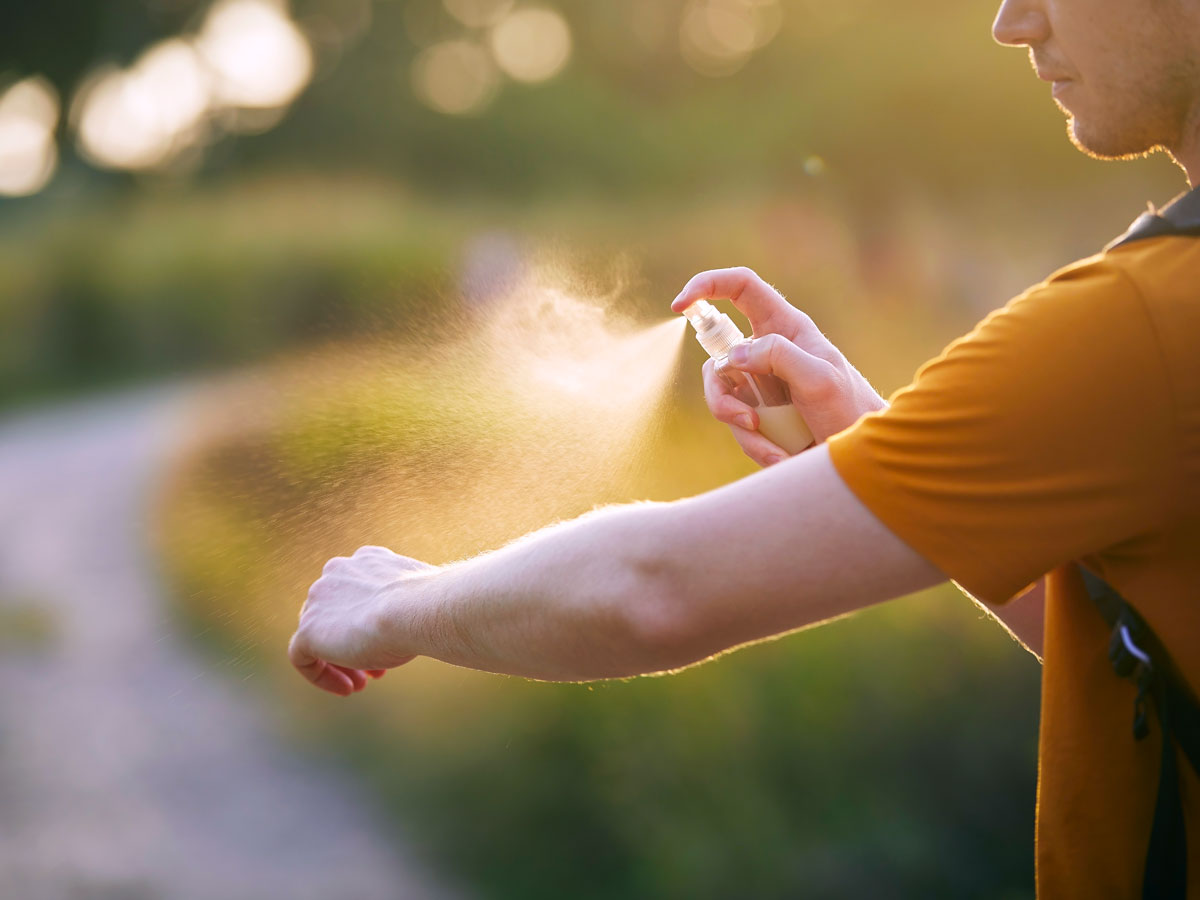 Person applying insect repellent