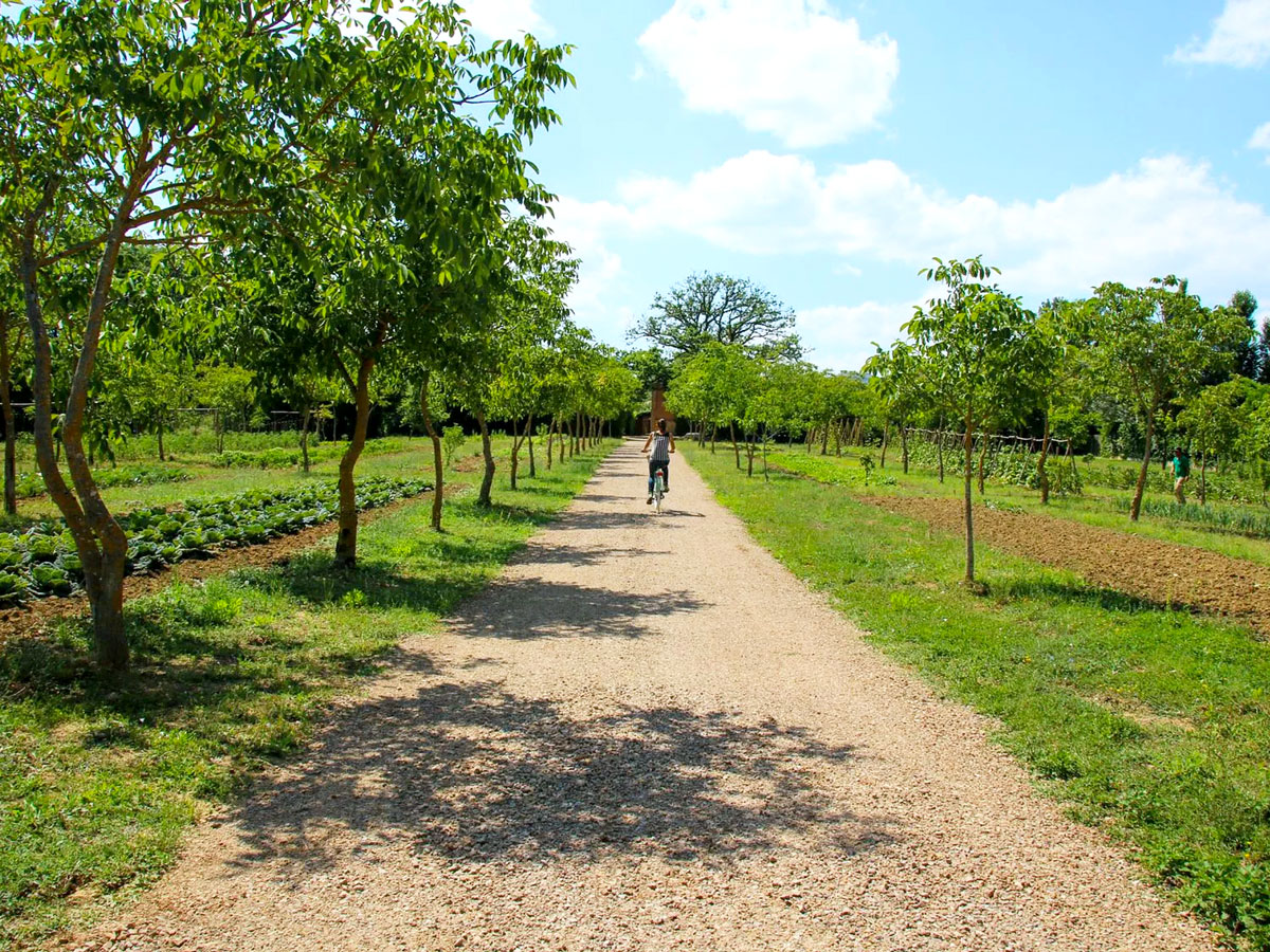 Guest riding biking through farm at Borgo Santo Pietro
