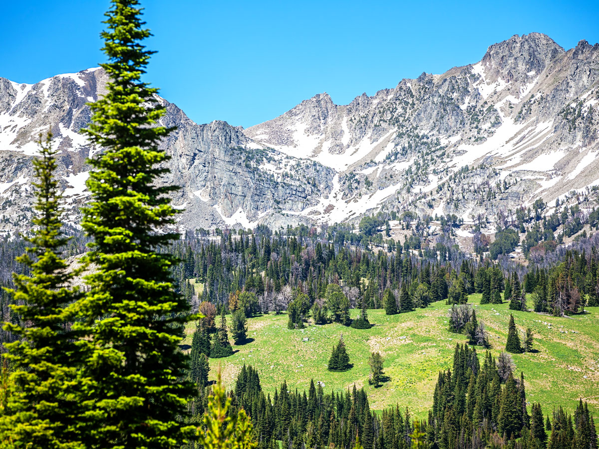 Snow-capped mountains and forests outside of Bozeman, Montana