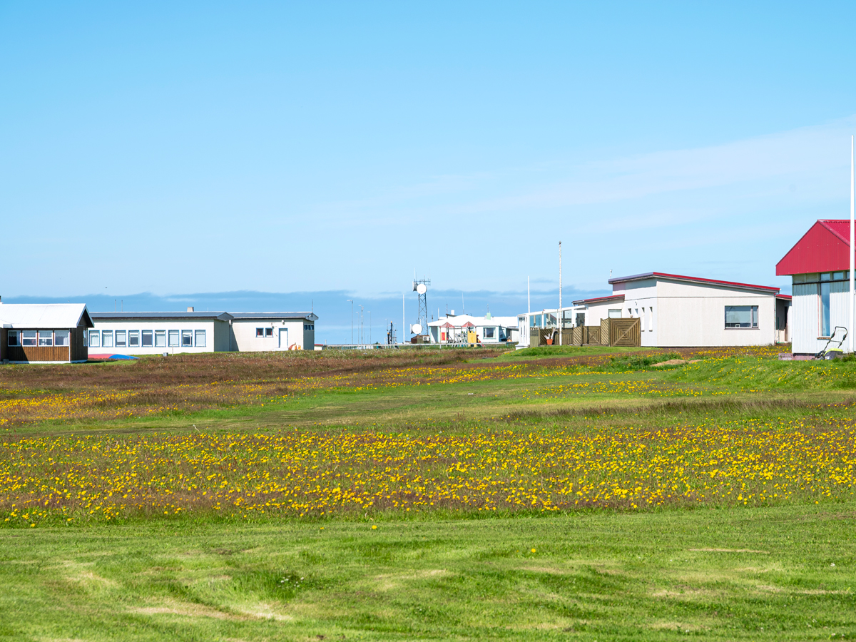 A village on the island of Grímsey in northern Iceland