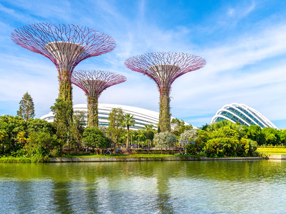 "Supertrees" of Singapore's Gardens by the Bay