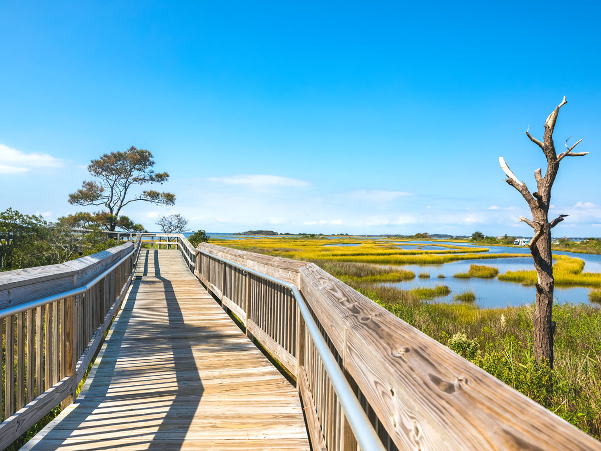 Wooden boardwalk on Assateague Island