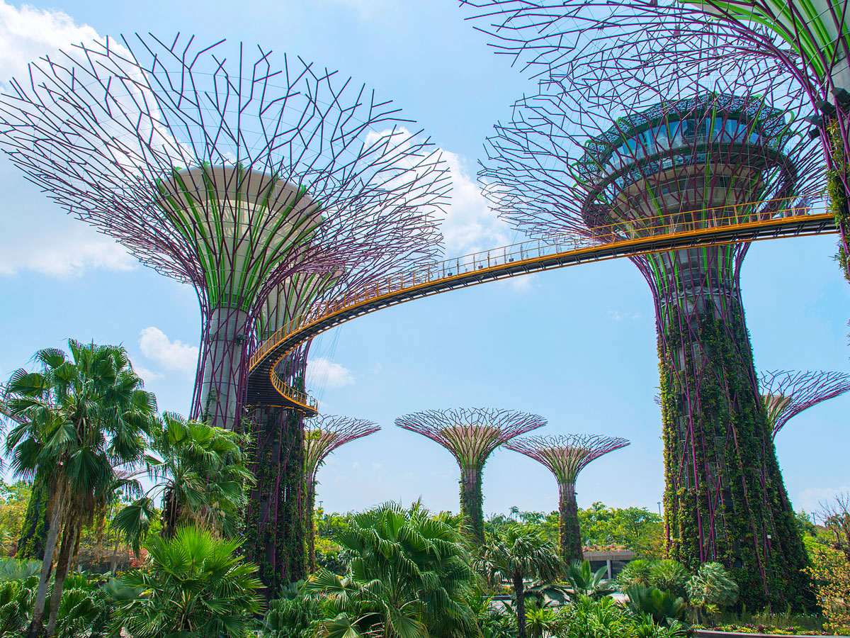 View of canopy walkway between the "Supertrees" of Singapore's Gardens by the Bay
