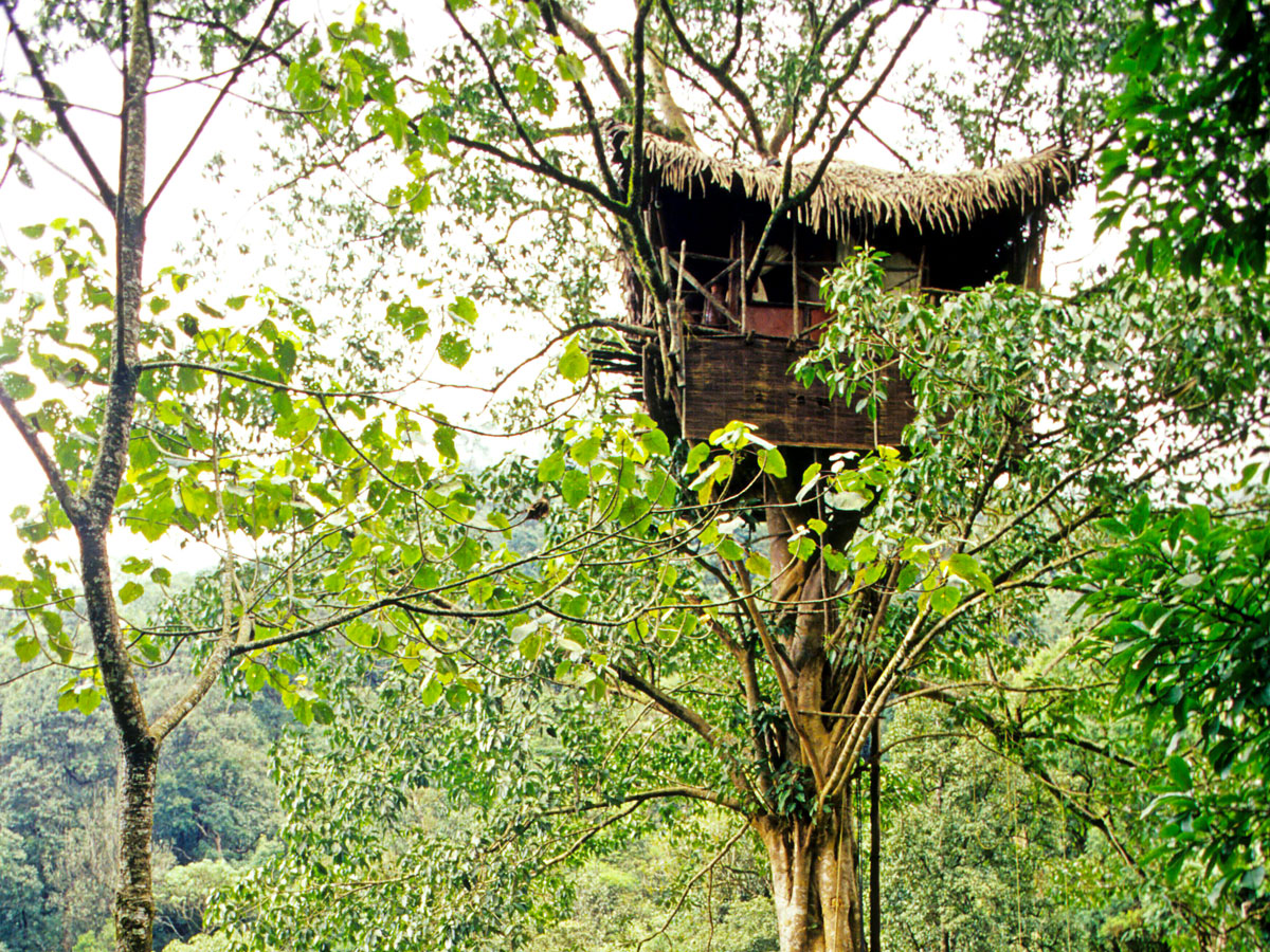 Treehouse at India's Green Magic Resort