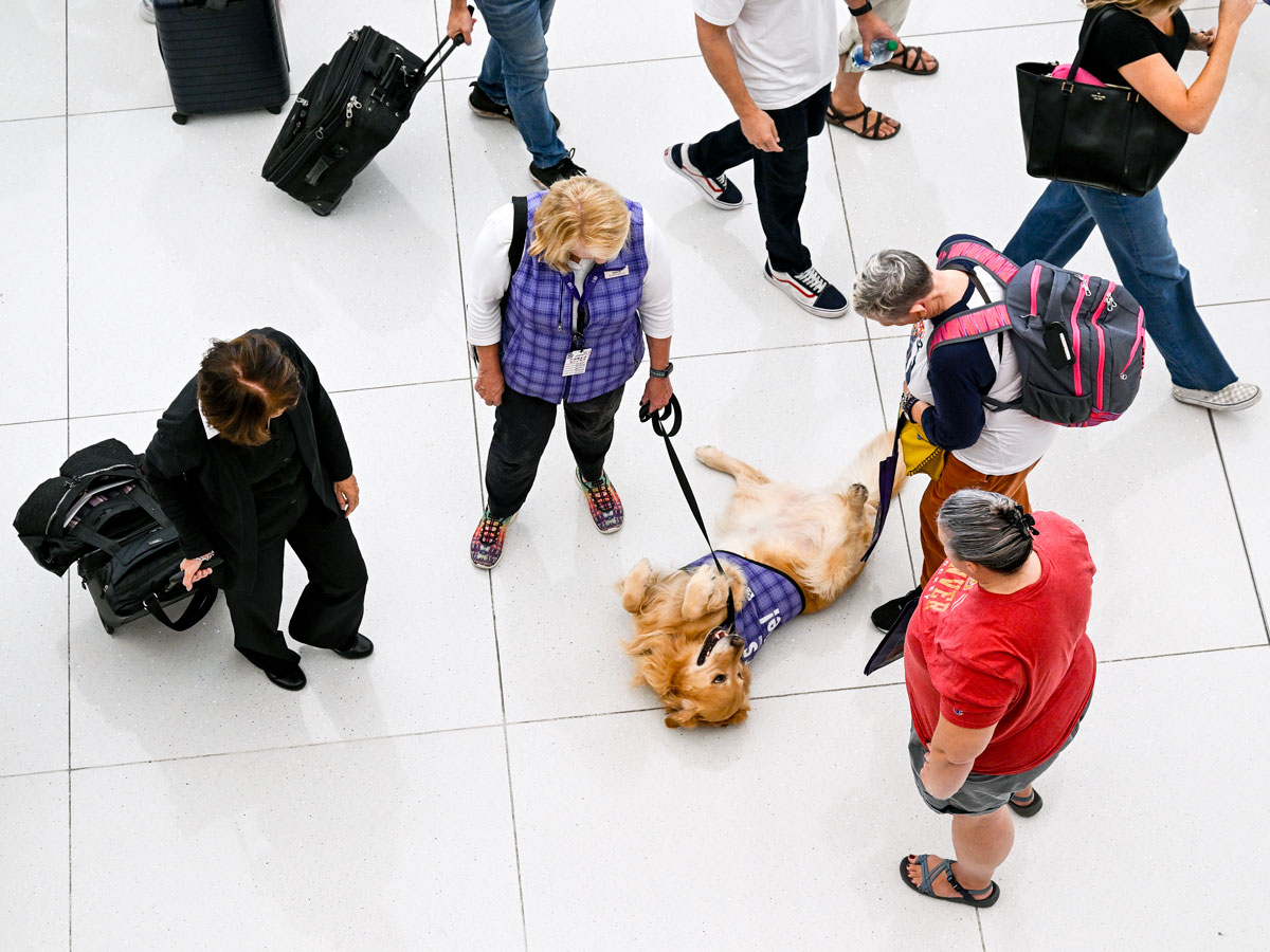 Passengers surrounding therapy dog in airport terminal, seen from above