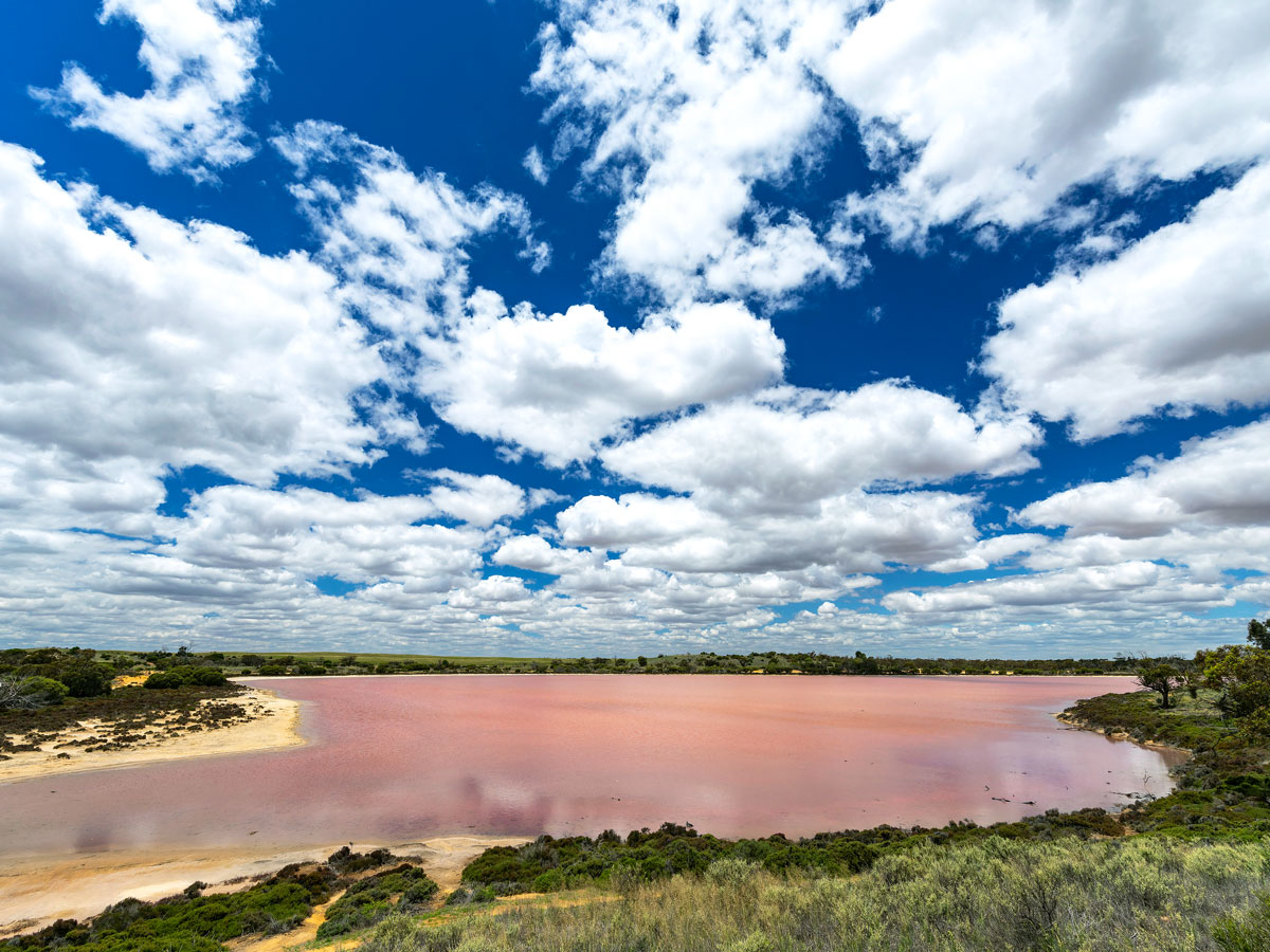 Pink lake under partly cloudy skies in Murray-Sunset National Park