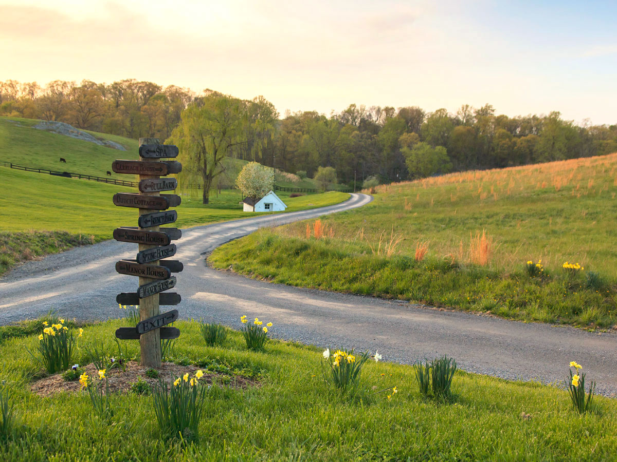 Farmland outside of Middleburg, Virginia