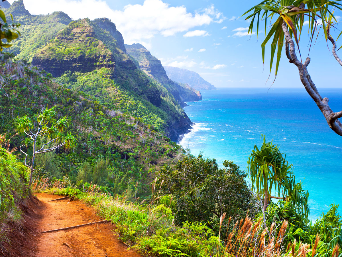 Trail overlooking Kauai's Napali Coast