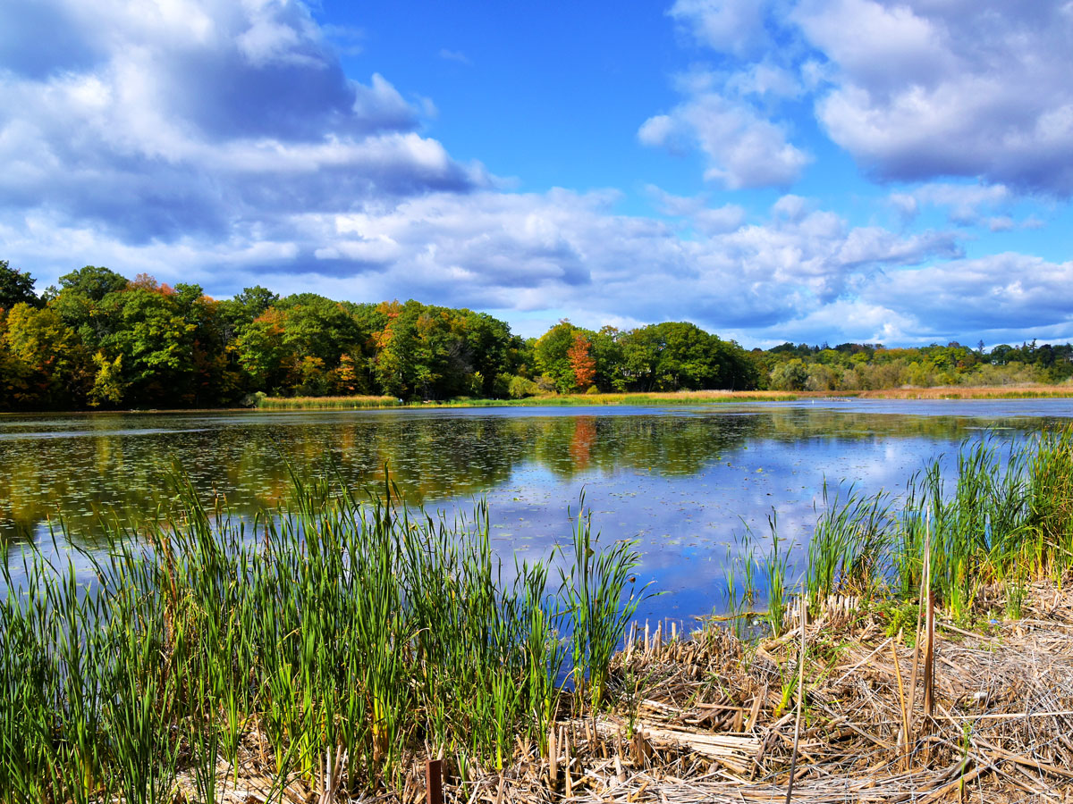 Lake with reflection of clouds in Toronto's Rouge National Urban Park