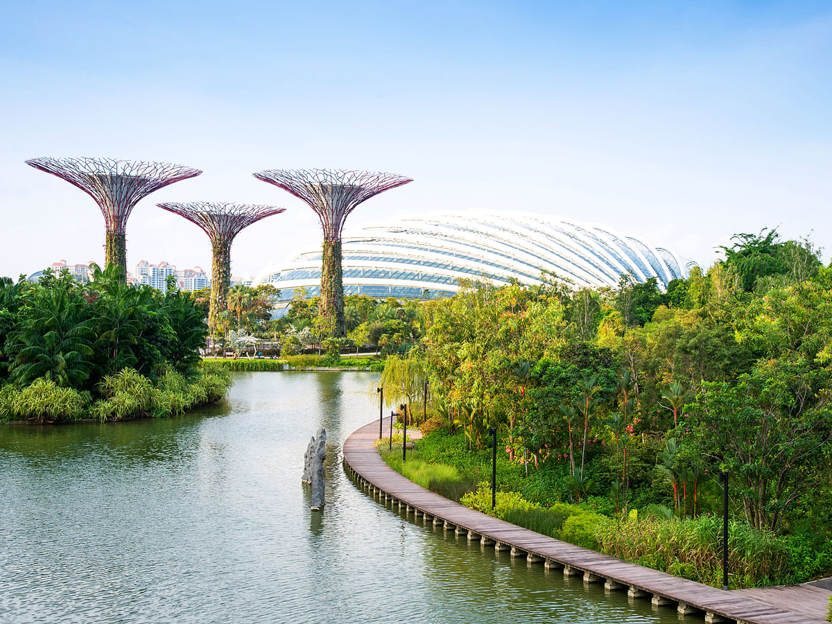 Supertree structures at Singapore's Gardens by the Bay