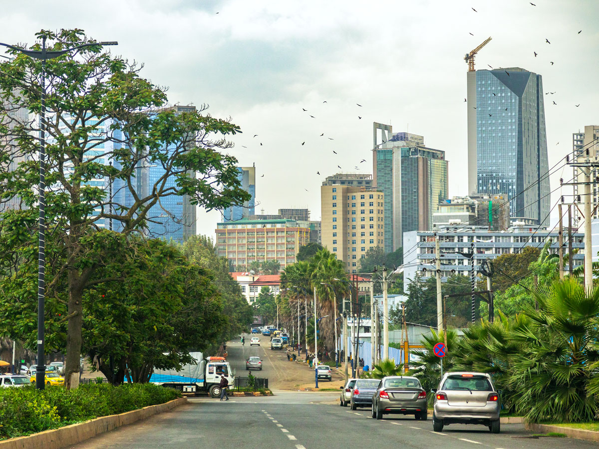 Wide tree-lined avenue in Addis Ababa, Ethiopia