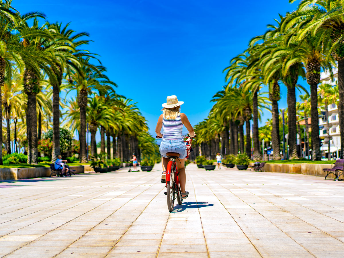 Person riding bicycle on palm tree-lined promenade